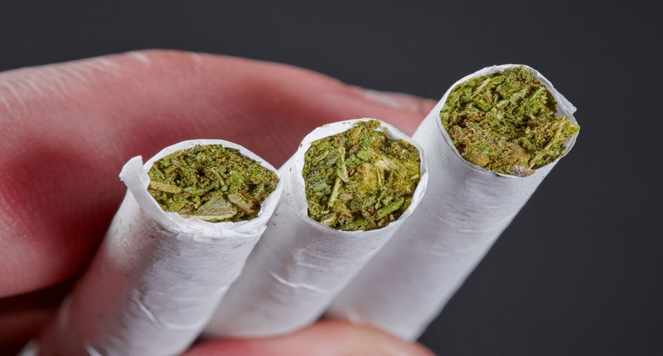 مضرات گُل یا علف برای نوجوانان و جوانان مضرات گُل یا علف برای نوجوانان و جوانان