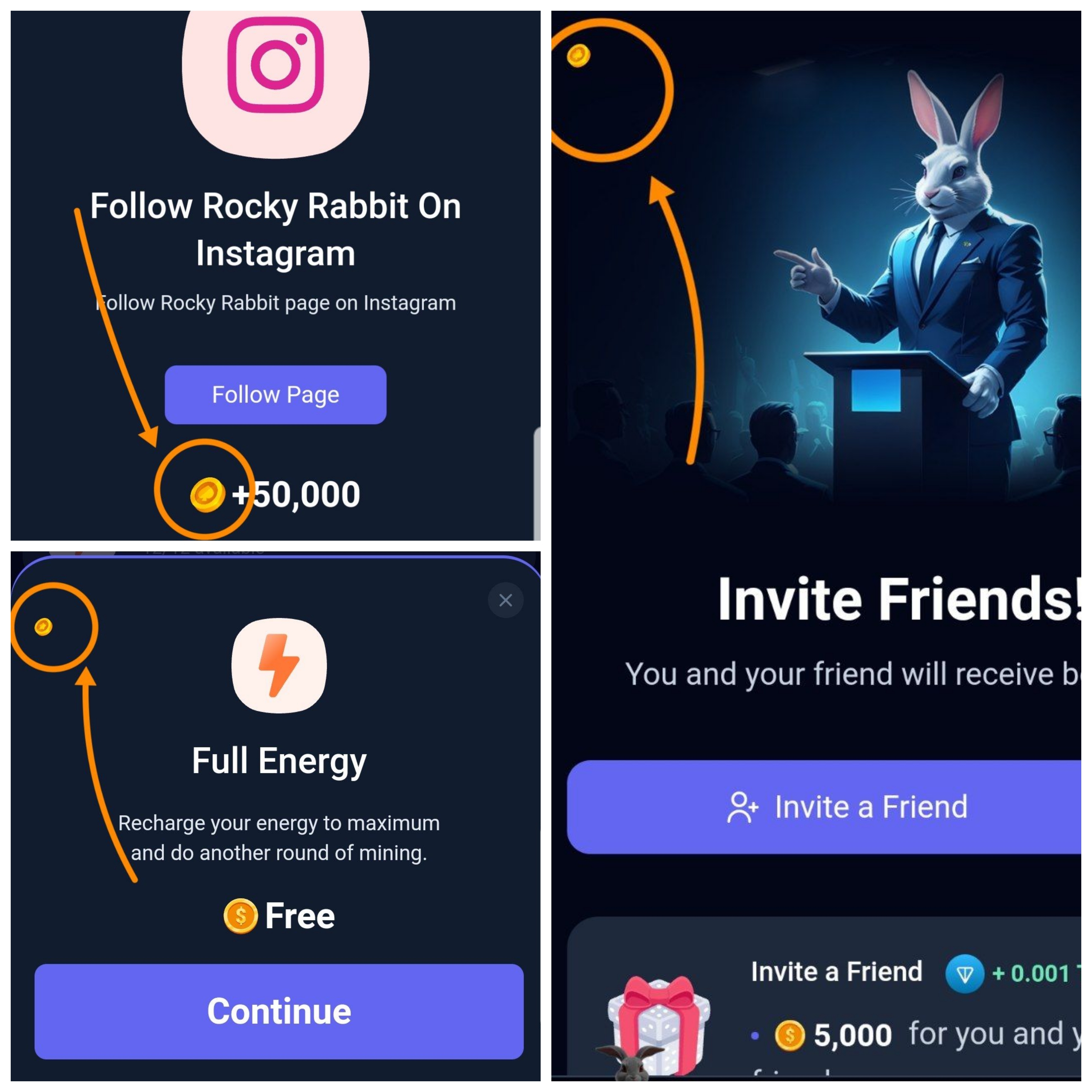 کارتهای امروز راکی ربیت (شنبه ۲۷ مرداد ۱۴۰۳) + پاسخ انیگما جدید و توکنهای مخفی کارتهای امروز راکی ربیت (شنبه ۲۷ مرداد ۱۴۰۳) + پاسخ انیگما جدید و توکنهای مخفی