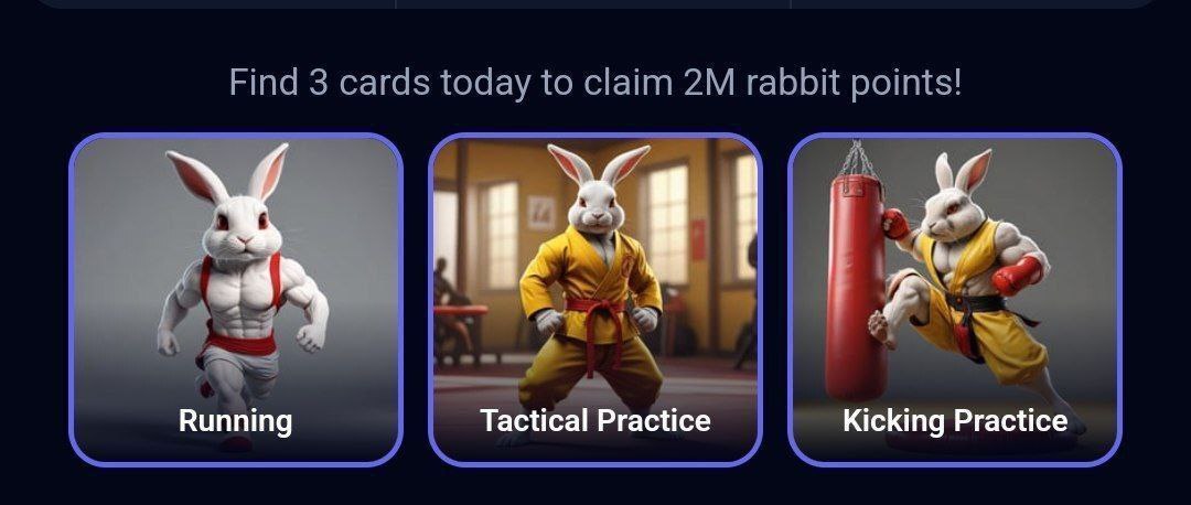 کارتهای امروز راکی ربیت (دوشنبه ۲۹ مرداد ۱۴۰۳) + پاسخ انیگما جدید و توکنهای مخفی کارتهای امروز راکی ربیت (دوشنبه ۲۹ مرداد ۱۴۰۳) + پاسخ انیگما جدید و توکنهای مخفی