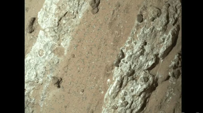 کشف حیات میکروبی در مریخ توسط مریخنورد «استقامت» ناسا کشف حیات میکروبی در مریخ توسط مریخنورد «استقامت» ناسا