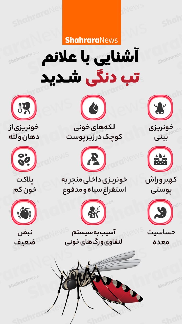 اینفوگرافی| آشنایی با علائم تب دنگی جدید