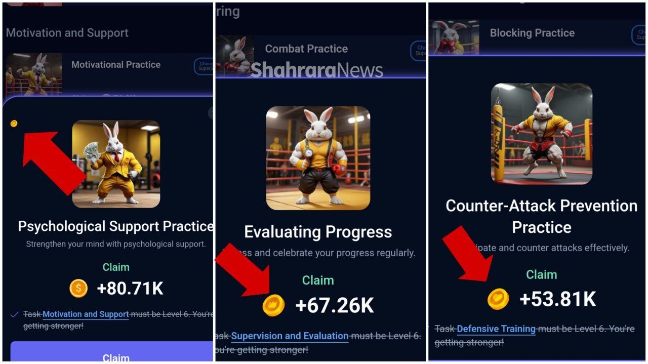 کارتهای امروز راکی ربیت (چهارشنبه ۱۴ شهریور ۱۴۰۳) + پاسخ انیگما جدید و توکنهای مخفی کارتهای امروز راکی ربیت (چهارشنبه ۱۴ شهریور ۱۴۰۳) + پاسخ انیگما جدید و توکنهای مخفی