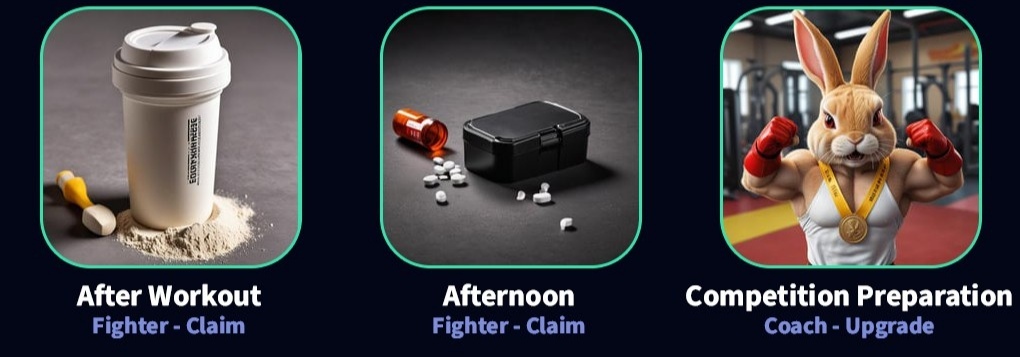 کارتهای امروز راکی ربیت (یکشنبه ۱۸ شهریور ۱۴۰۳) + پاسخ انیگما جدید و توکنهای مخفی کارتهای امروز راکی ربیت (یکشنبه ۱۸ شهریور ۱۴۰۳) + پاسخ انیگما جدید و توکنهای مخفی