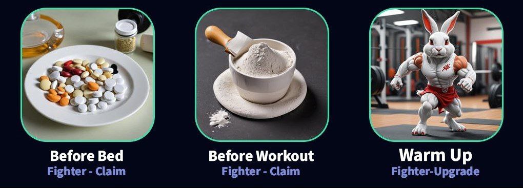 کارتهای امروز راکی ربیت (دوشنبه ۱۹ شهریور ۱۴۰۳) + پاسخ انیگما جدید و توکنهای مخفی کارتهای امروز راکی ربیت (دوشنبه ۱۹ شهریور ۱۴۰۳) + پاسخ انیگما جدید و توکنهای مخفی