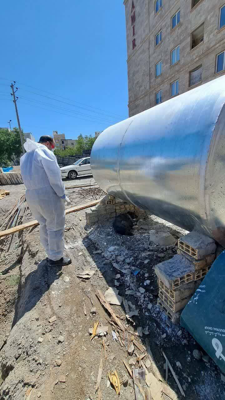 زندهگیری یک قلاده سگ مبتلا به بیماری هاری در الهیه مشهد (۲ شهریور ۱۴۰۳) زندهگیری یک قلاده سگ مبتلا به بیماری هاری در الهیه مشهد (۲ شهریور ۱۴۰۳)