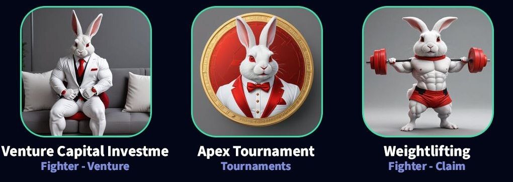 کارتهای امروز راکی ربیت (سهشنبه ۲۰ شهریور ۱۴۰۳) + پاسخ انیگما جدید و توکنهای مخفی کارتهای امروز راکی ربیت (سهشنبه ۲۰ شهریور ۱۴۰۳) + پاسخ انیگما جدید و توکنهای مخفی