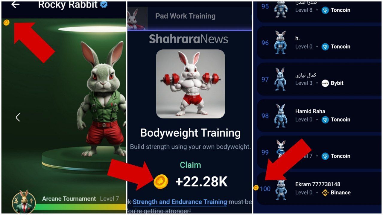 کارتهای امروز راکی ربیت (شنبه ۲۴ شهریور ۱۴۰۳) + پاسخ انیگما جدید و توکنهای مخفی کارتهای امروز راکی ربیت (شنبه ۲۴ شهریور ۱۴۰۳) + پاسخ انیگما جدید و توکنهای مخفی