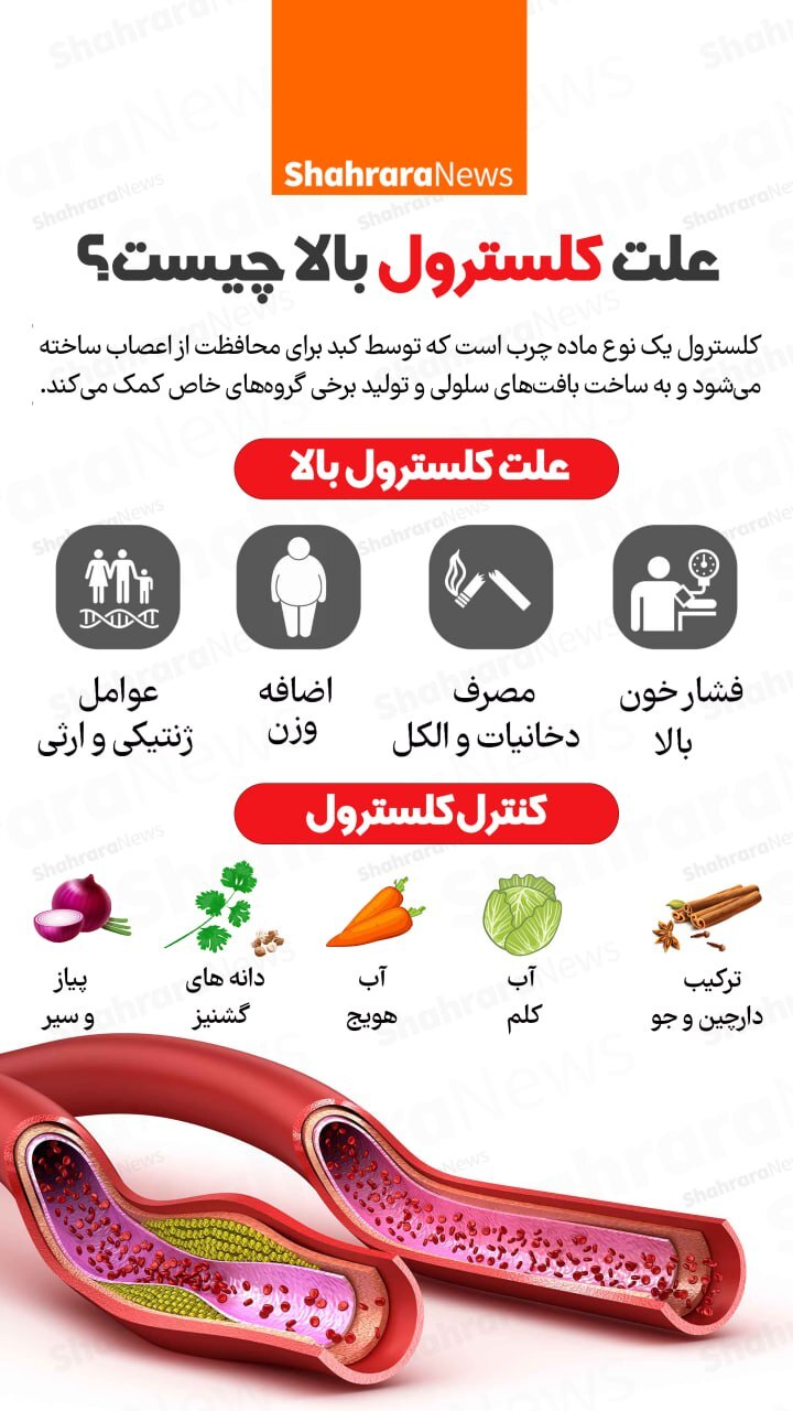 اینفوگرافی| علت کلسترول بالا چیست؟