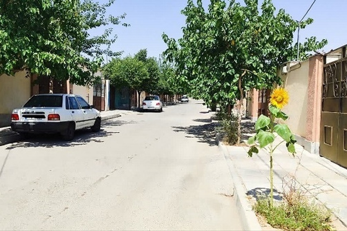 شهروند خبرنگار | تصویر زیبای تابستانی از کوچه ای در شهرک مهرگان مشهد