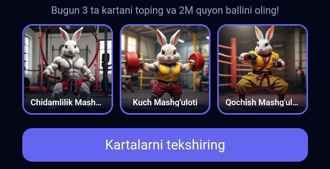 کارتهای امروز راکی ربیت (جمعه ۹ شهریور ۱۴۰۳) + پاسخ انیگما جدید و توکنهای مخفی کارتهای امروز راکی ربیت (جمعه ۹ شهریور ۱۴۰۳) + پاسخ انیگما جدید و توکنهای مخفی