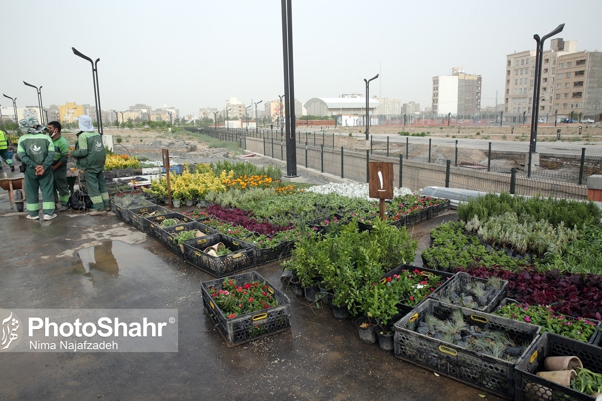 سهم ۱۹ مترمربعی شهروندان مشهدی از سرانه فضای سبز | مشهد پیشتاز فضای سبز در کشور است