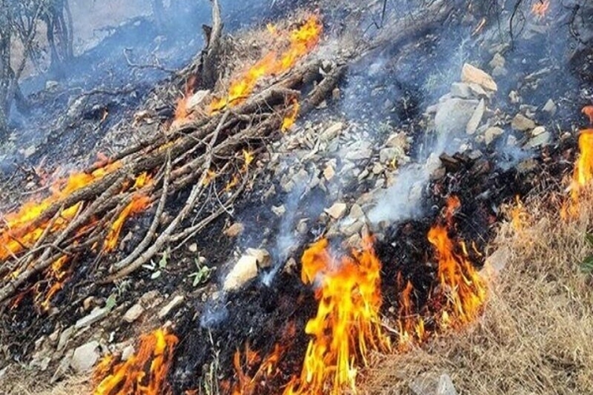 مهار آتش سوزی در «پارک ملی تندوره» درگز خراسان رضوی پس از ۸ ساعت