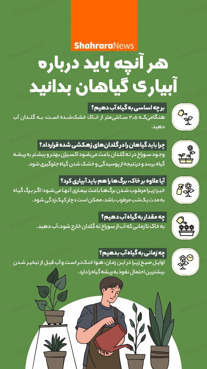 اینفوگرافی| هرآنچه باید درباره آبیاری گیاهان بدانید
