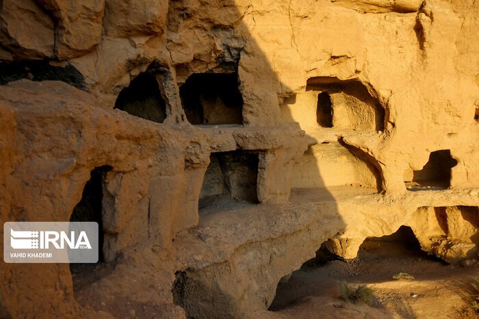 خفاشها را خانه خراب نکنیم خفاشها را خانه خراب نکنیم