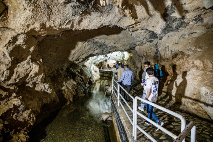 خفاشها را خانه خراب نکنیم خفاشها را خانه خراب نکنیم