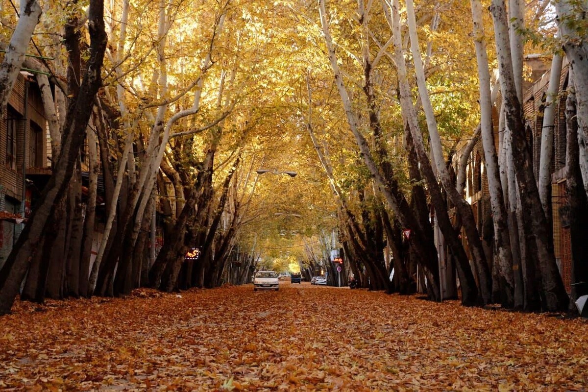 خوانسار یک شهر کوچک با جمعیتی نه چندان زیاد است که تنها دو ساعت از اصفهان فاصله دارد، نام خوانسار به معنای چشمه‌سار است و همان‌طور که از نامش پیداست، این شهر مملو از چشمه‌های پرآب و طبیعت سبز و تازه است.