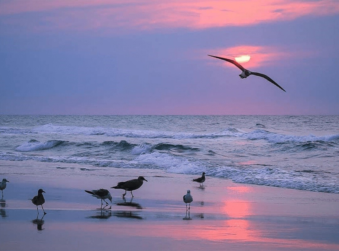 ماجراجویی در شمال: از بوم گردی رشت تا ساحلهای دنج بابلسر و زیباییهای ماسال ماجراجویی در شمال: از بوم گردی رشت تا ساحلهای دنج بابلسر و زیباییهای ماسال