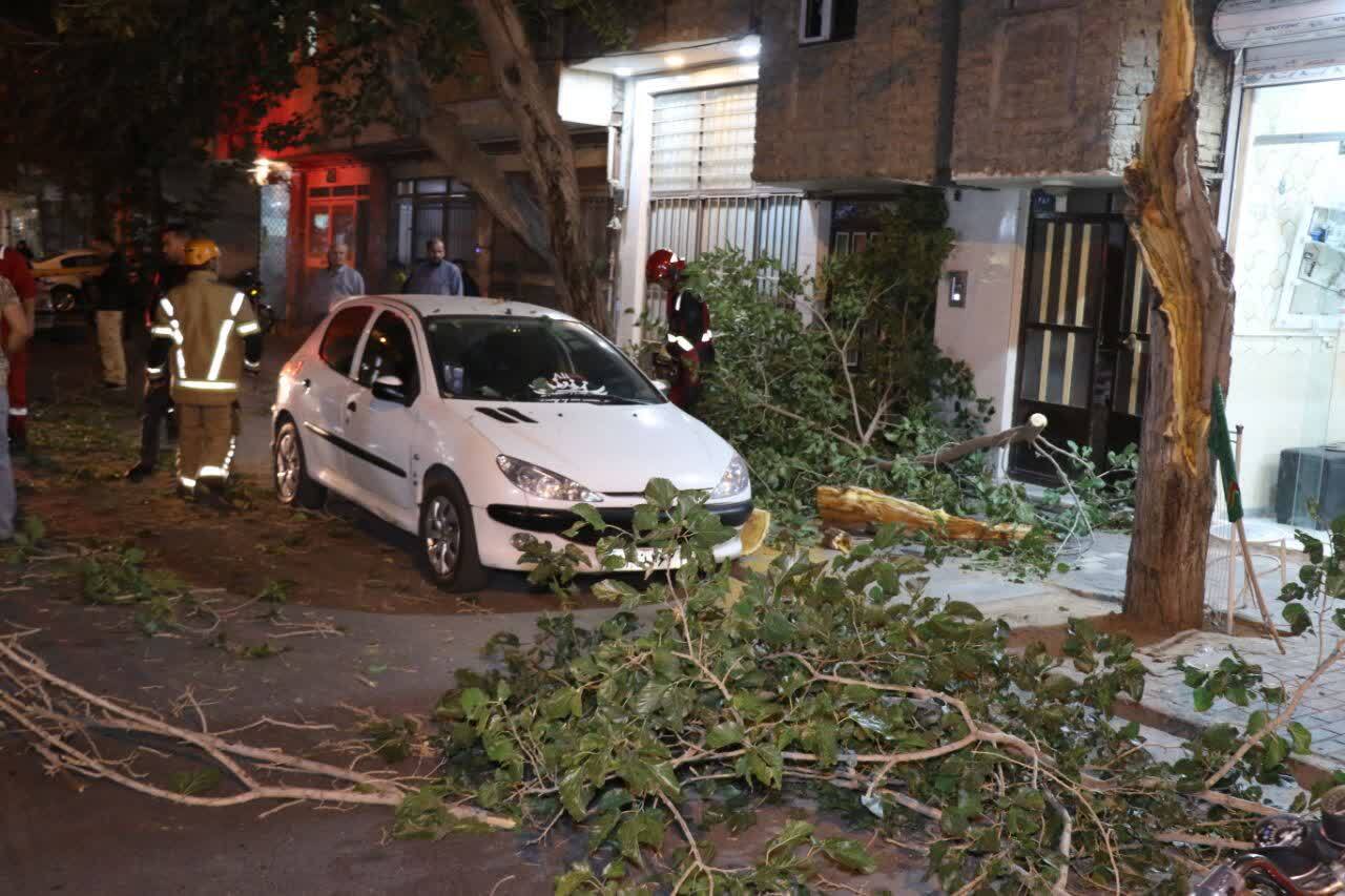 برخورد کامیونت با درخت در بلوار مفتح مشهد حادثه آفرید برخورد کامیونت با درخت در بلوار مفتح مشهد حادثه آفرید