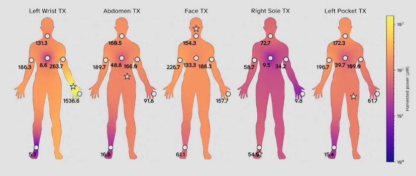 معرفی فناوری‌ای که از بدن انسان برای تأمین انرژی گجت‌های پوشیدنی استفاده می‌کند