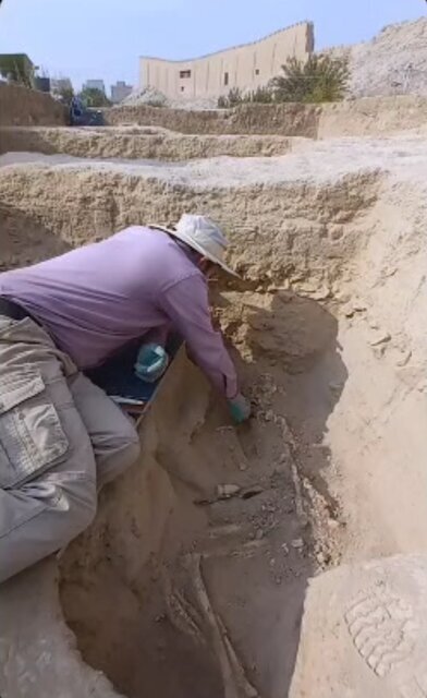 باستان شناسان از کشف اسکلت در تپه ۷۰۰۰ ساله ری خبردادند باستان شناسان از کشف اسکلت در تپه ۷۰۰۰ ساله ری خبردادند