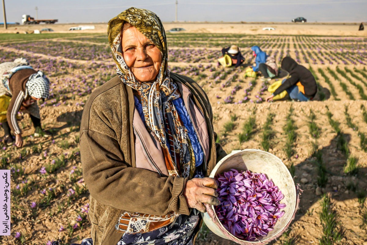 شمال خراسان به رنگ ارغوان