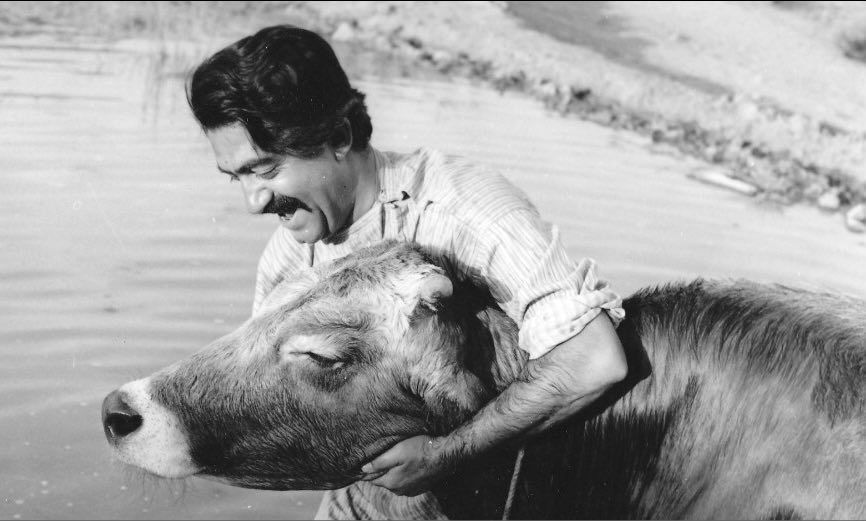 یادبودی از غلامحسین ساعدی | نویسندهای که صدای فرودستان بود یادبودی از غلامحسین ساعدی | نویسندهای که صدای فرودستان بود