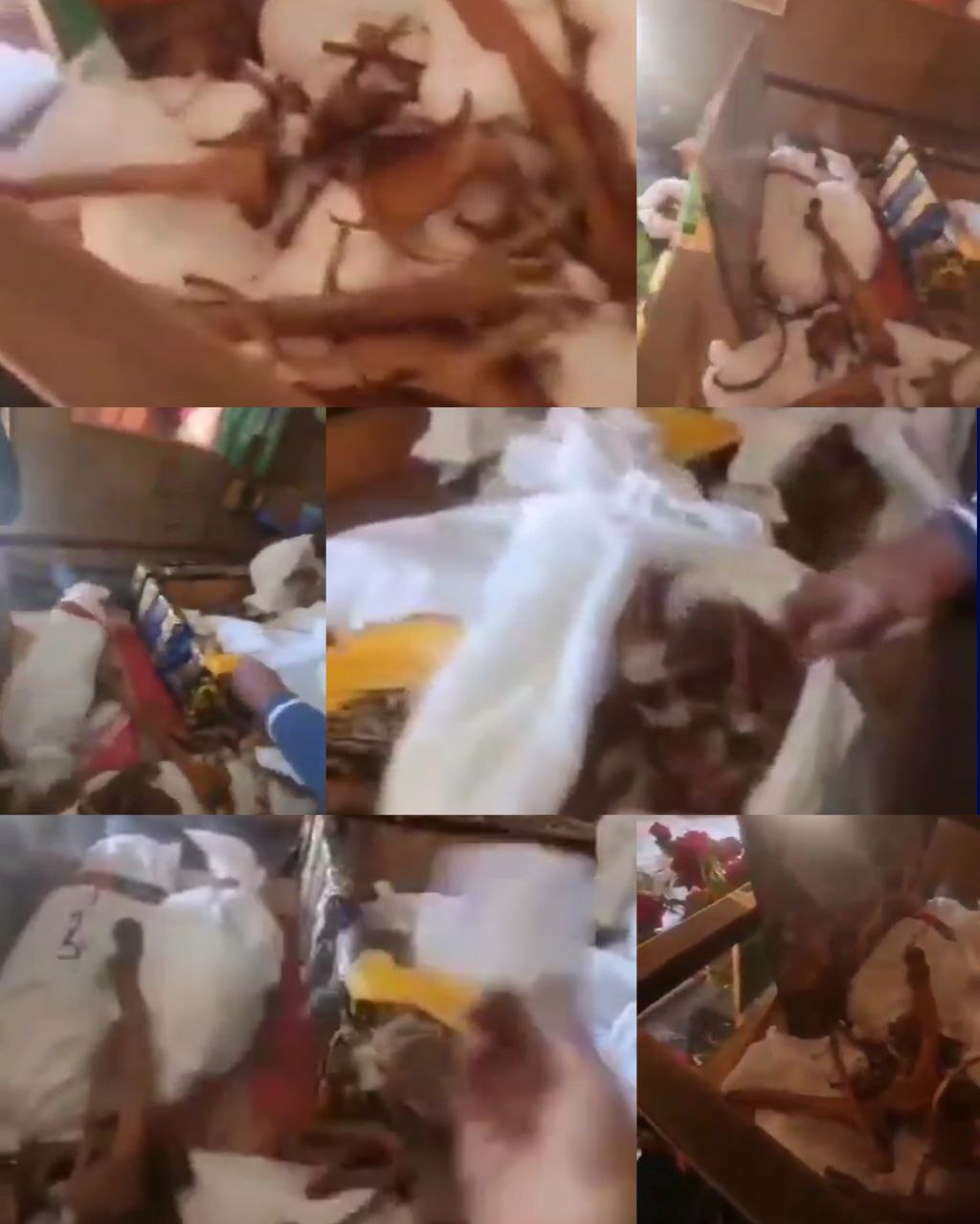 اهانت تروریست‌ها به پیکر‌های شهدای مدافع حرم+ تصاویر