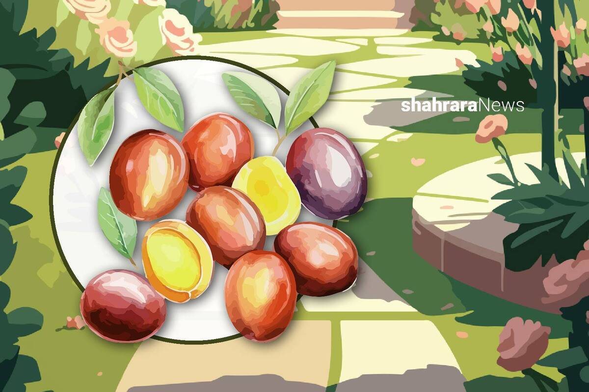دانستنی&zwnj;هایی برای کودکان | عناب؛ میوه&zwnj;ی شگفت&zwnj;انگیز
