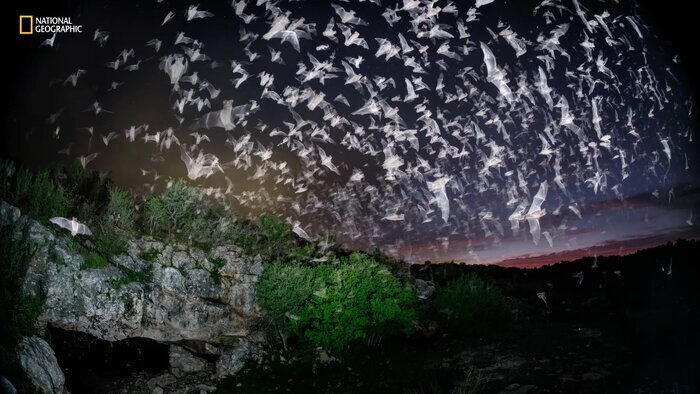 اثر هنرمند ایرانی منتخب مجله نشنال جئوگرافیک + عکس اثر هنرمند ایرانی منتخب مجله نشنال جئوگرافیک + عکس