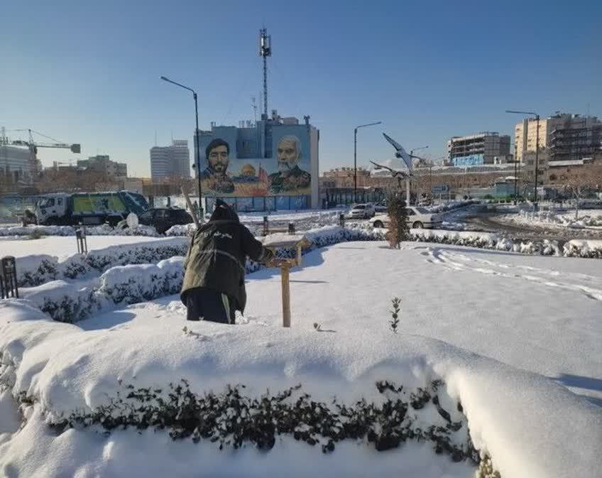 حمایت شهرداری مشهد از پرندگان در فصل سرما با شارژ ۳۴۰ دانخوری و ۳۰۰ آبخوری در فضاهای سبز