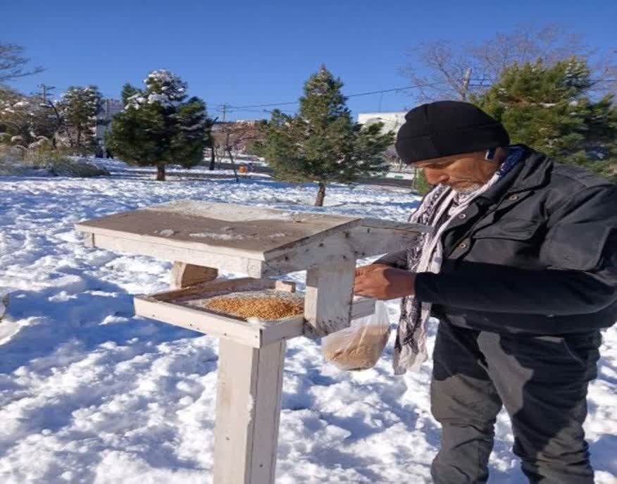 حمایت شهرداری مشهد از پرندگان در فصل سرما با شارژ ۳۴۰ دانخوری و ۳۰۰ آبخوری در فضاهای سبز