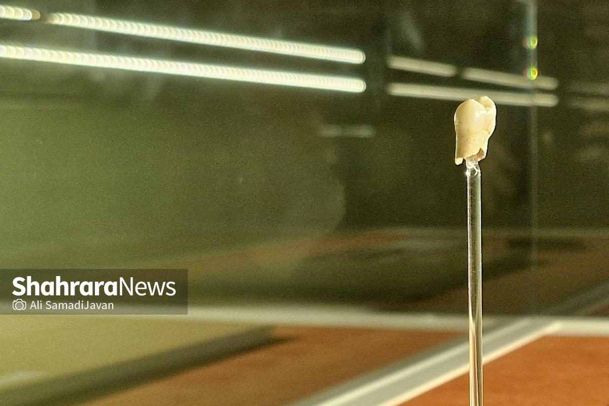 موزه ملی ایران به روایت تصاویر و تاریخ موزه ملی ایران به روایت تصاویر و تاریخ