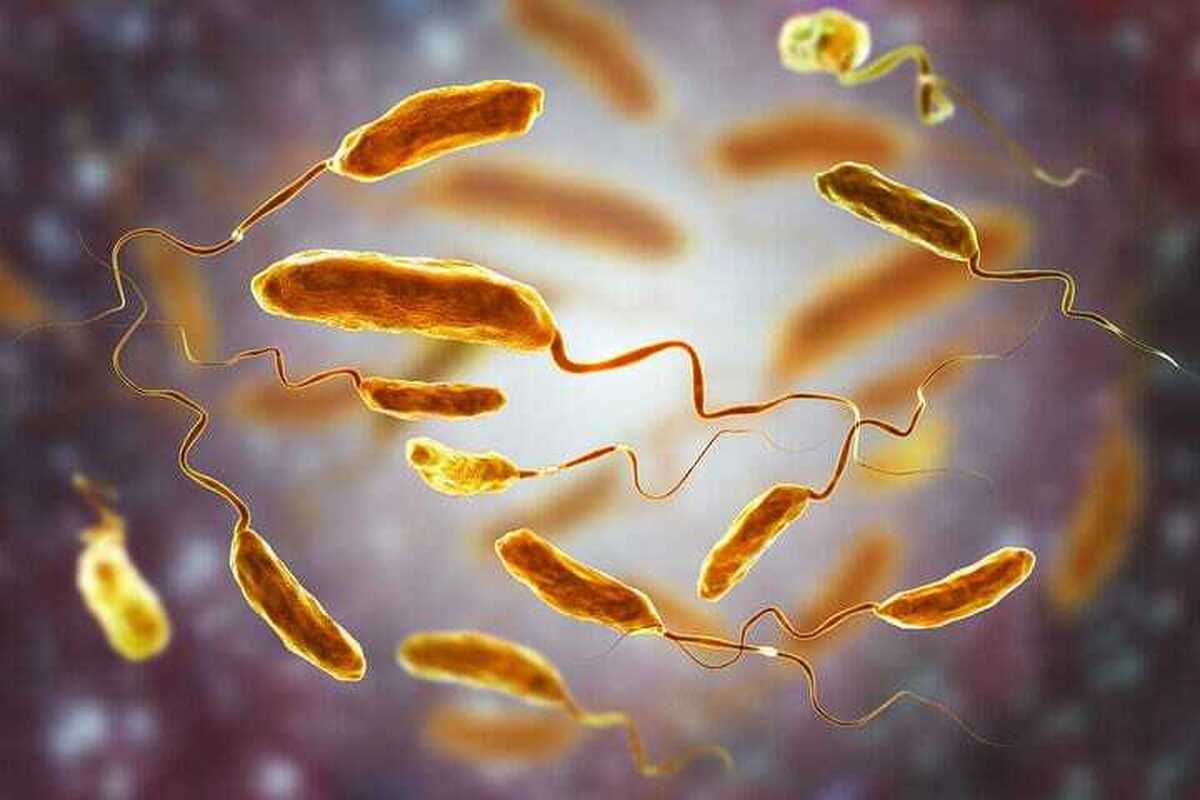 ابتلای ۱۴ نفر به وبا در سال ۱۴۰۳