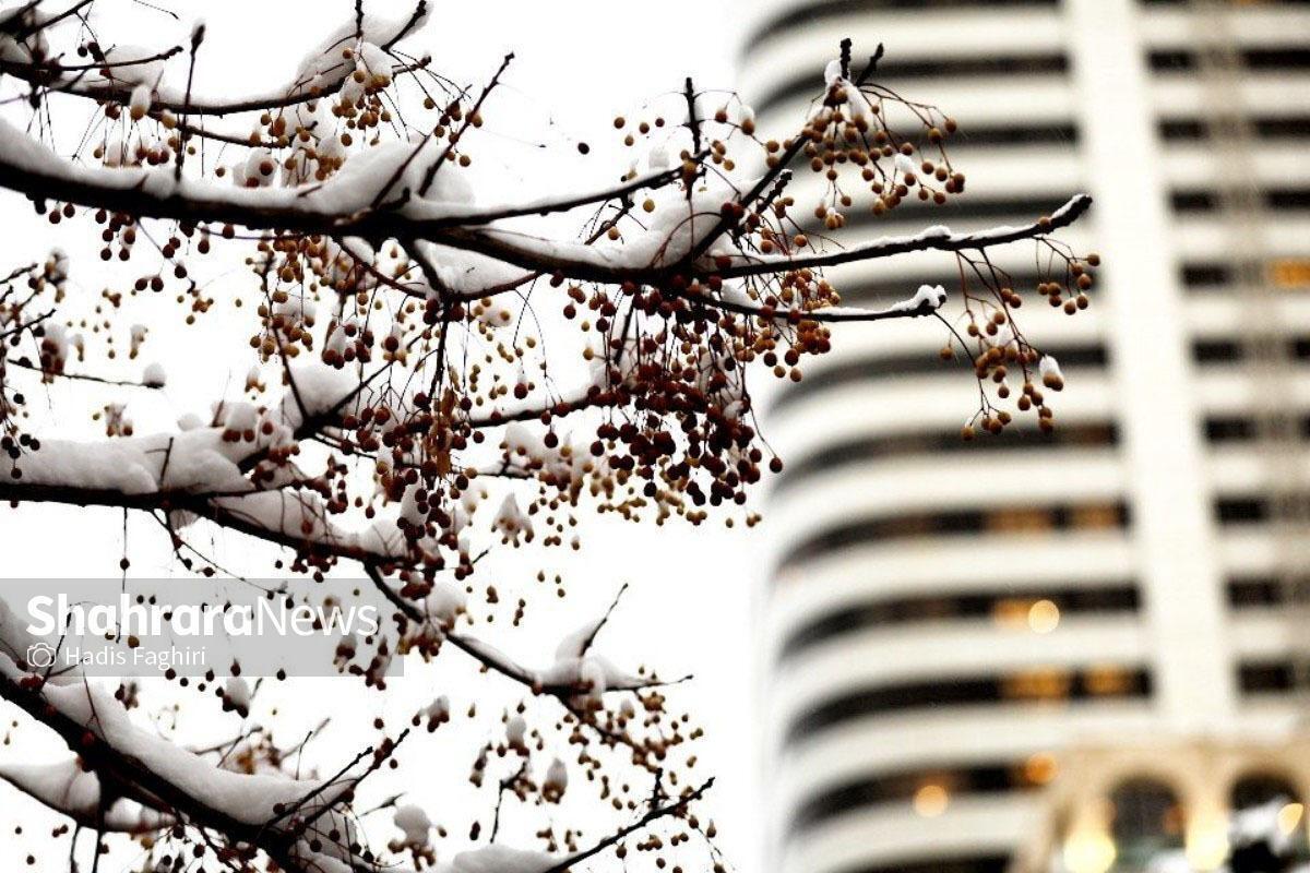 استان‌های خراسان‌ جزو پربارش‌ترین نقاط کشور در آذر ماه ۱۴۰۴ بودند + فیلم