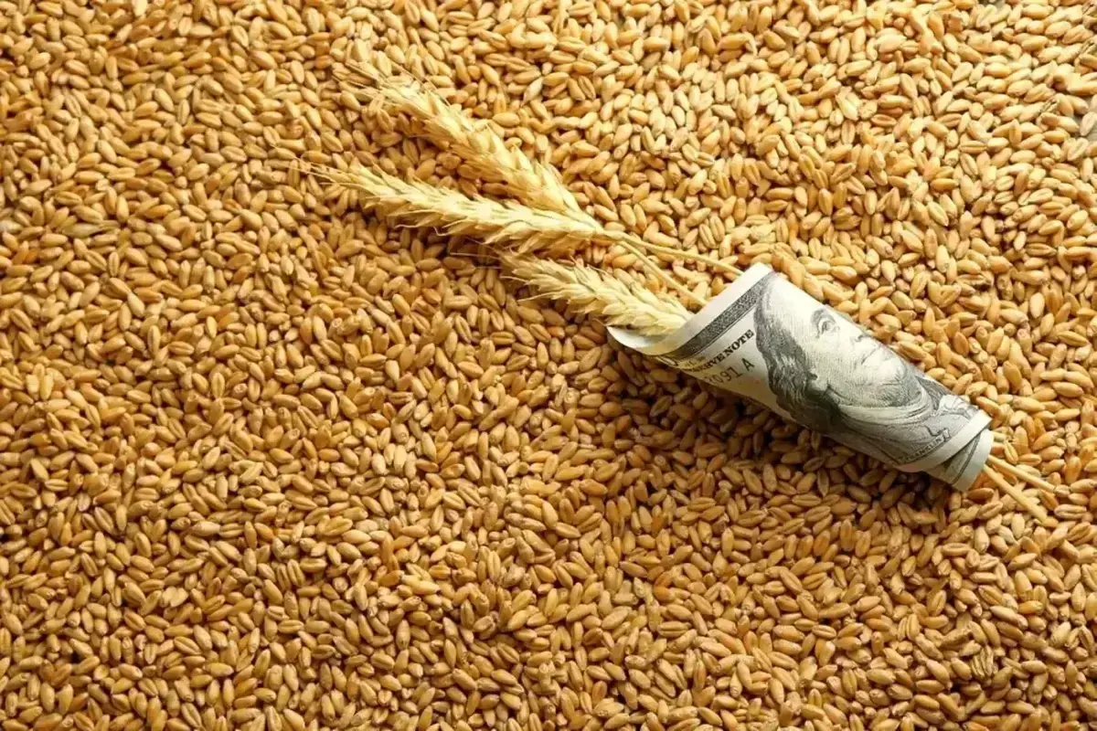 دولت از تثبیت نرخ ارز گندم و دارو روی ۲۸ هزار و ۵۰۰ تومان خبر داد