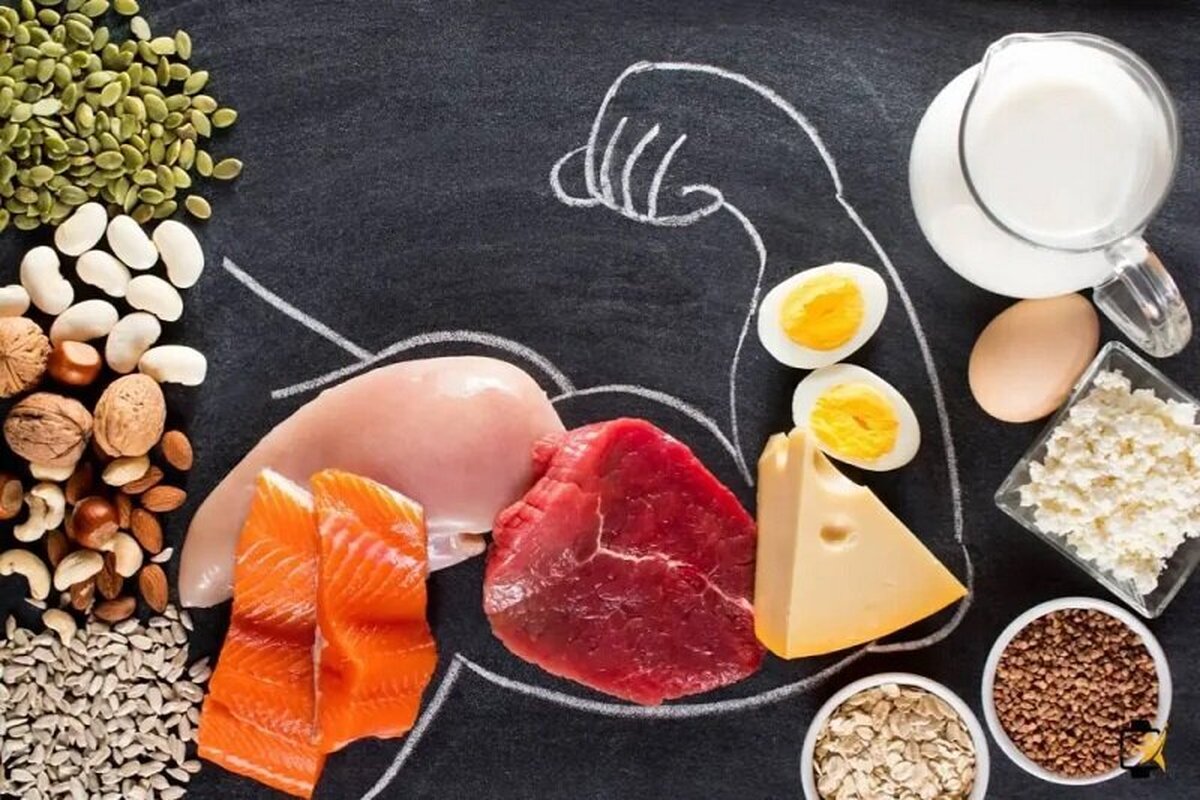 زنان باردار به چقدر پروتئین در روز نیاز دارند؟