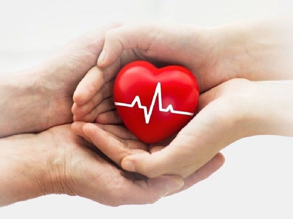 اهدای اعضای بیمار مرگ مغزی در مشهد به یک بیمار زندگی دوباره بخشید (۲ دی ۱۴۰۴)