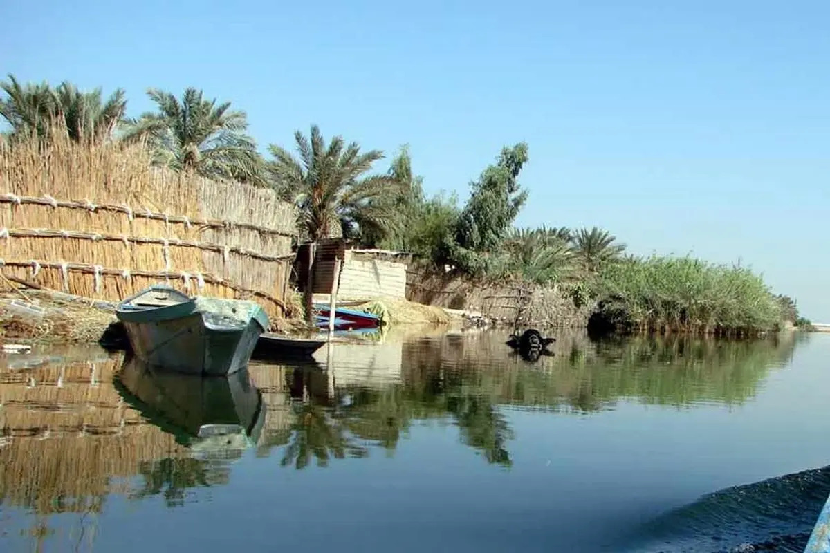 شیمبار خوزستان دوباره جان گرفت | تالاب&zwnj;ها در حال احیا هستند