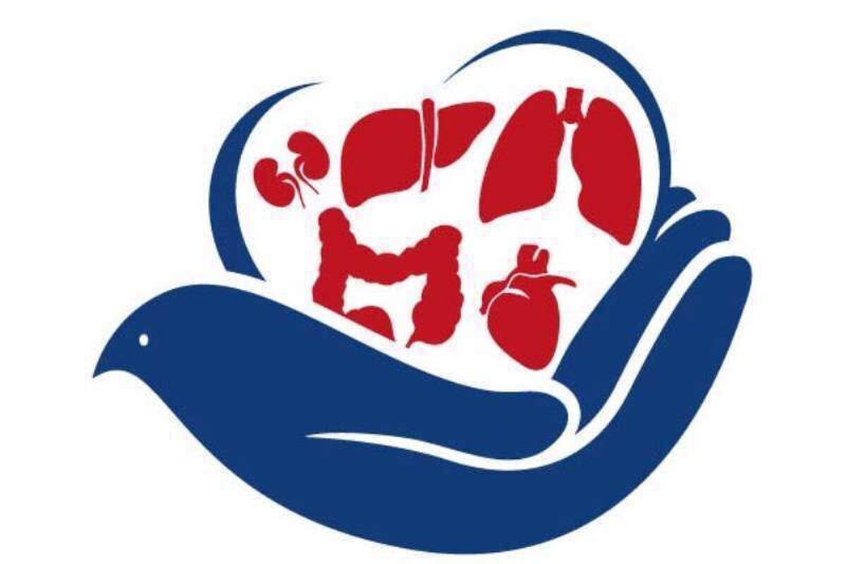 اعضای ۱۴۳ بیمار مرگ مغزی در شمال شرق کشور به بیماران نیازمند اهدا شد