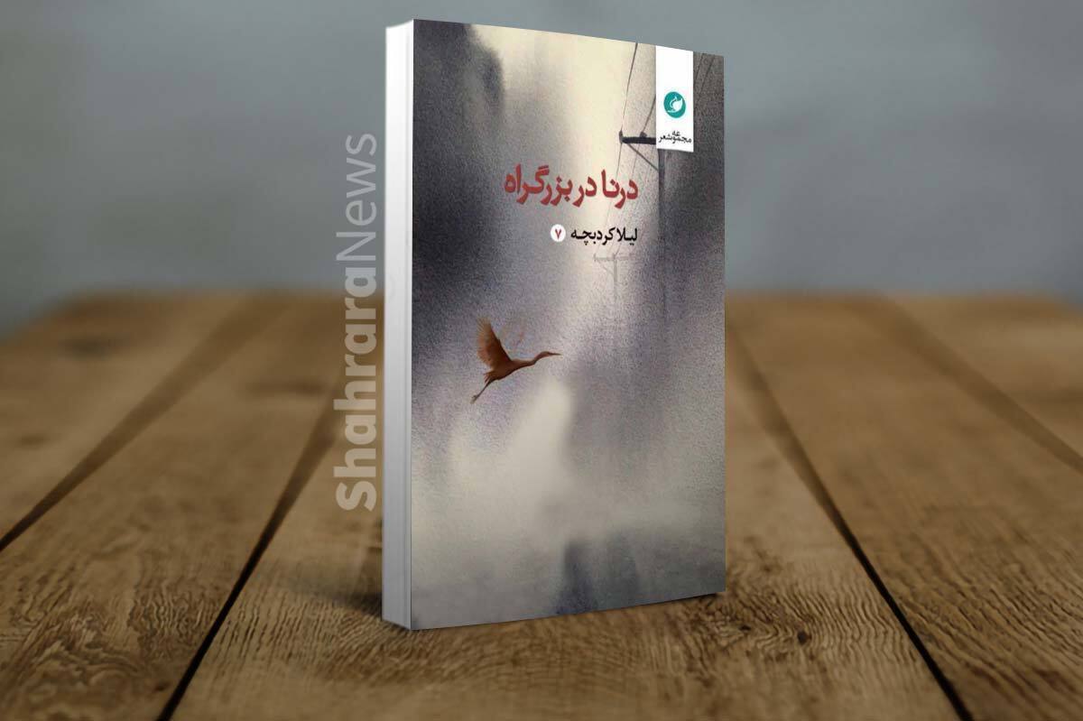 برفی که آن همه راه آمده بود | نگاهی به «درنا در بزرگراه» هفتمین مجموعه شعر لیلا کردبچه