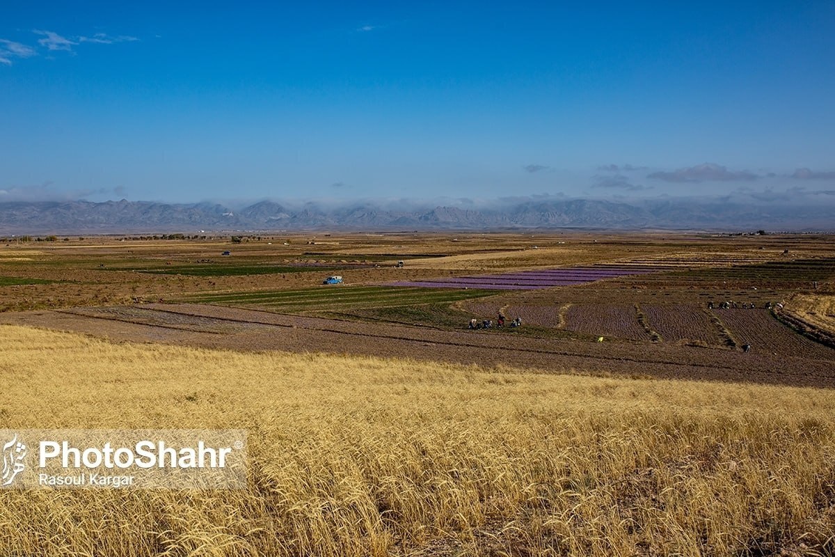 پیشنهاد جدید افغانستان به خراسان رضوی: به‌ازای آب، محصولات کشاورزی بگیرید