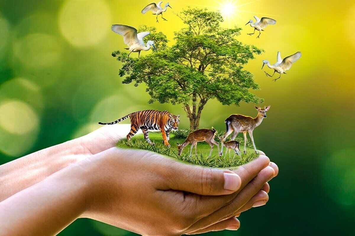 تدوین «طرح جامع حفاظت از تنوع زیستی کشور» همسو با چهارچوب‌های جهانی