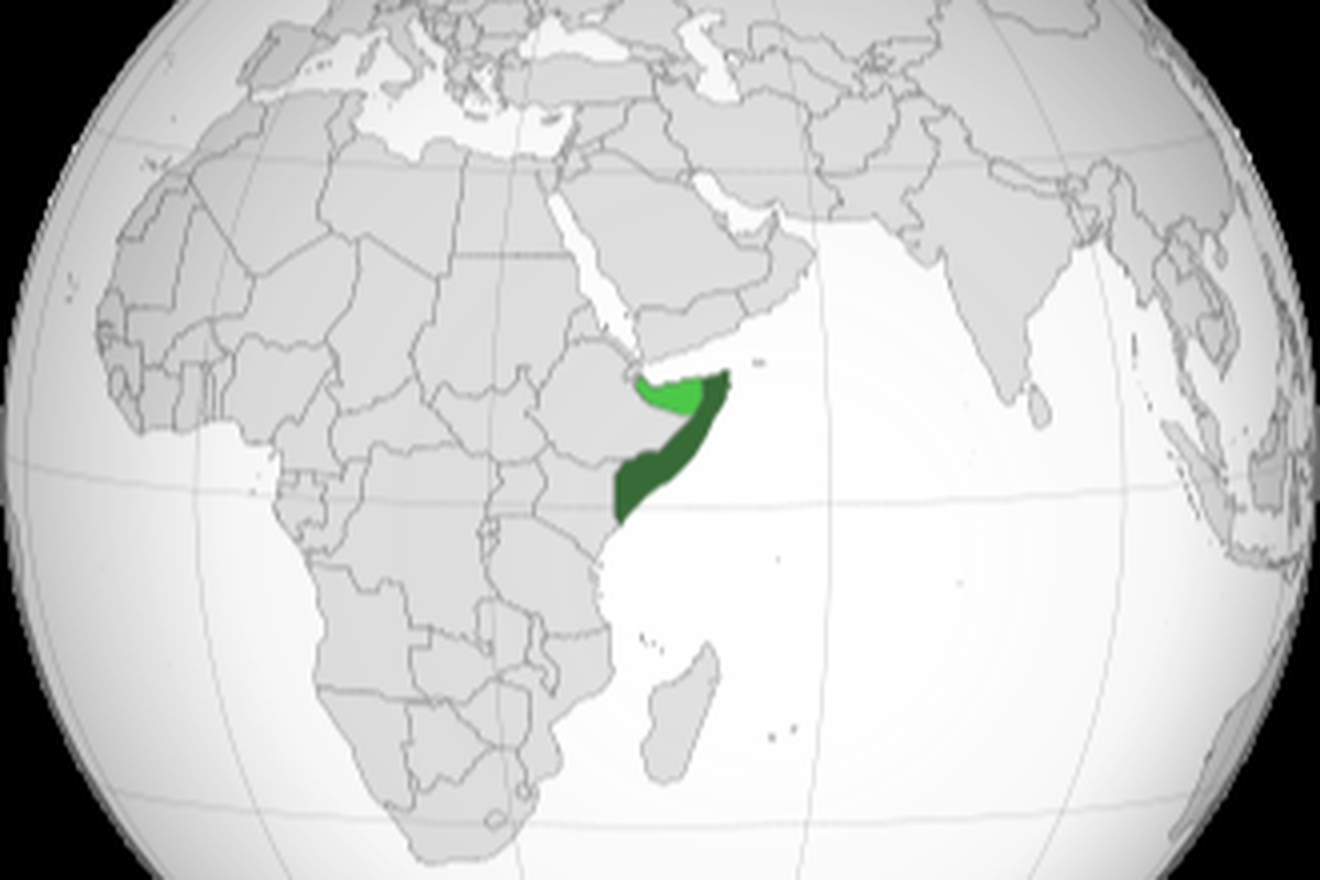 مخالفت سران آفریقا با موضع متهورانه اسرائیل علیه سومالی