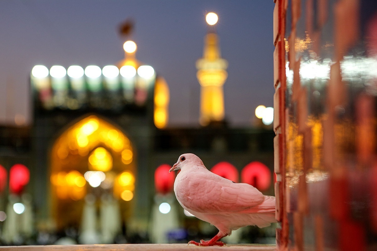 اعلام ویژه&zwnj;برنامه&zwnj;های حرم امام&zwnj;رضا(ع) به&zwnj;مناسبت میلاد حضرت جوادالائمه(ع)