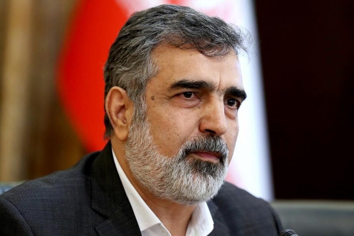 سخنگوی سازمان انرژی اتمی: سه دستاورد مهم هسته&zwnj;ای ثبت شد