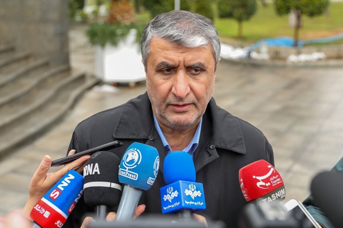 رئیس سازمان انرژی اتمی: وظیفه داریم از پرتو&zwnj;های یون&zwnj;ساز و غیریون&zwnj;ساز محافظت کنیم