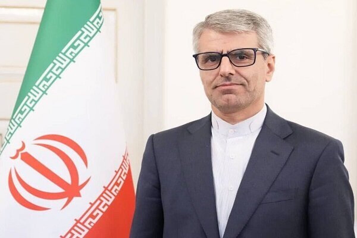 بقائی: اعمال فشار اقتصادی و تحمیل رنج بر مردم ایران، جنایت علیه بشریت است