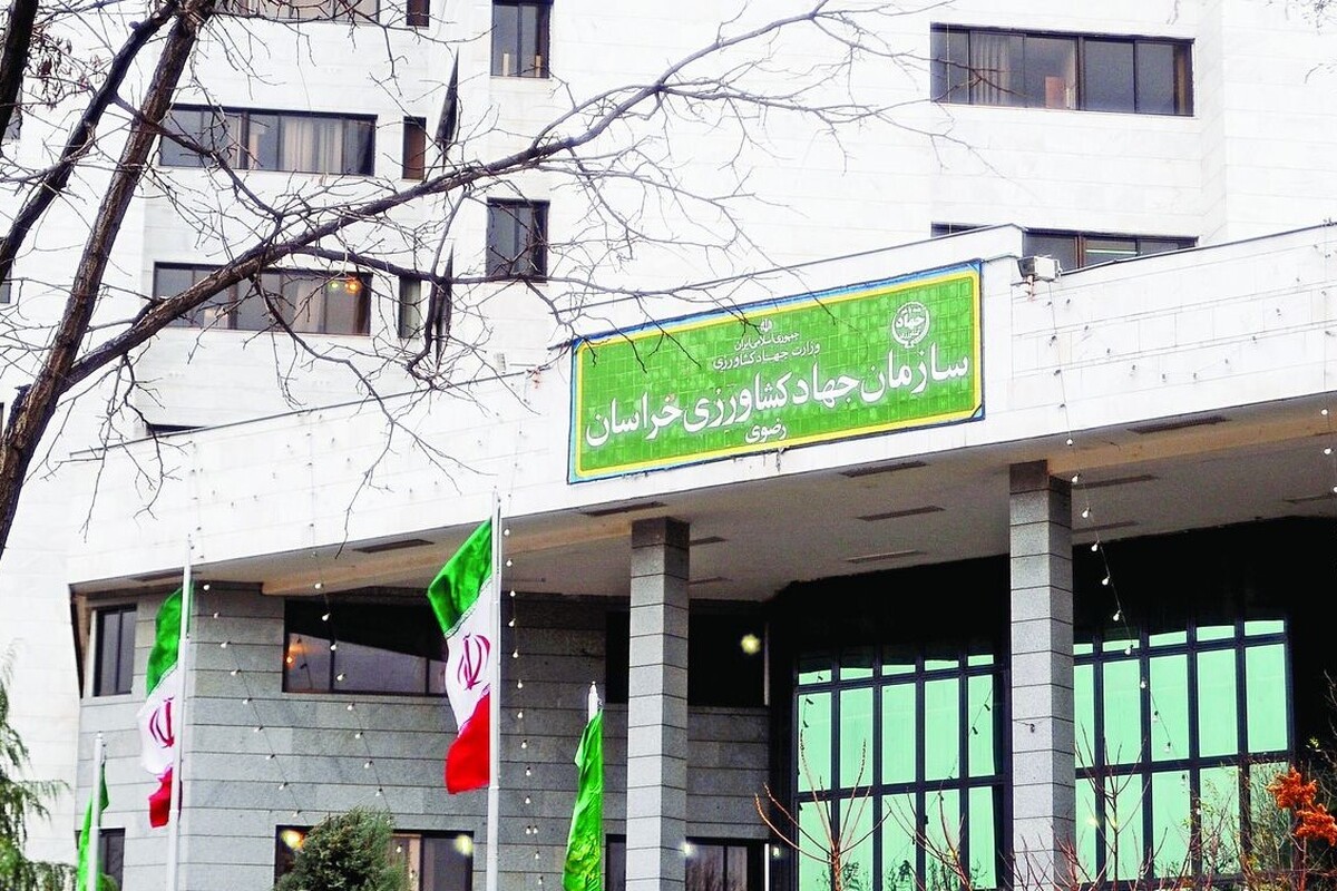 بودجه جهاد کشاورزی خراسان رضوی، روی هوا | ۹۷ درصد از بودجه ۱۴۰۴ هنوز اختصاص نیافته است!