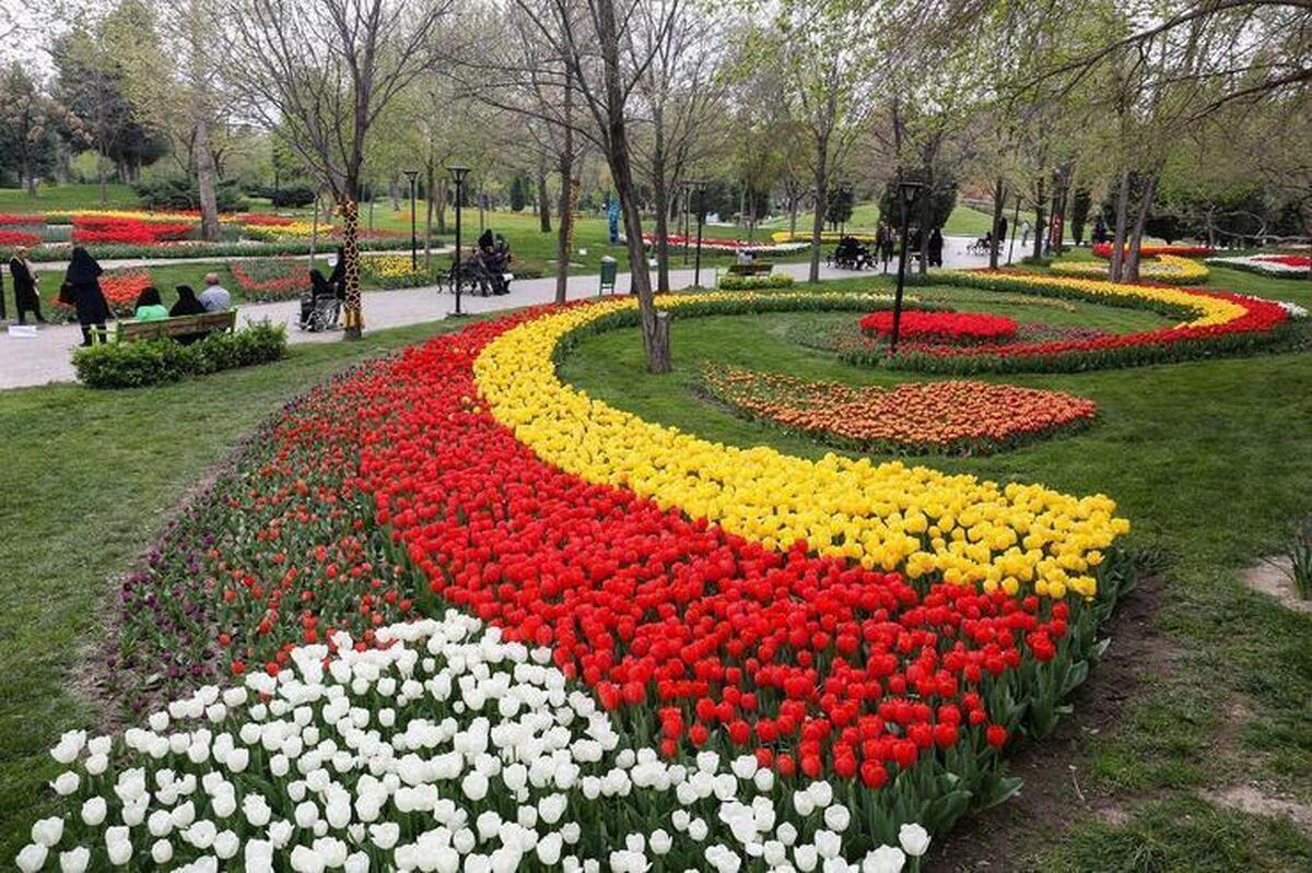 گل&zwnj;کاری در ۱۷ هکتار از باغچه&zwnj;های شهر مشهد برای استقبال از بهار ۱۴۰۵