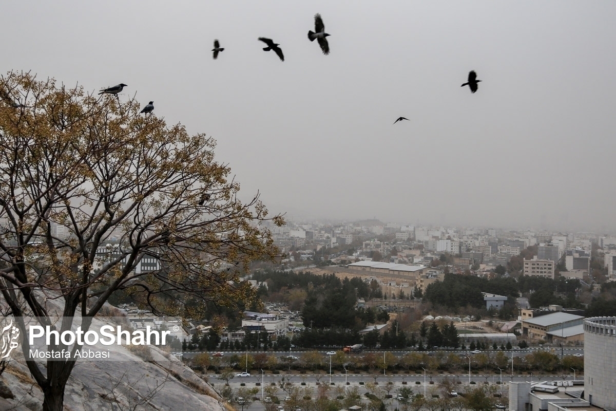 بارش و وزش باد در شمال و شمال&zwnj;شرق کشور | کاهش دما در نوار شمالی (پنجشنبه، ۳۰ بهمن ۱۴۰۴)